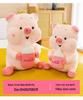 Large Cartoon Pig Baby Bottle Rag Doll Plush Pillow