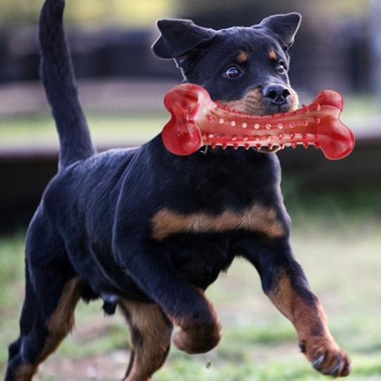 Přírodní kaučuková žvýkací hračka pro psy Kost pro dentální hygienu s hovězí příchutí Úleva při prořezávání zubů Bezpečná hračka pro psy velkých plemen