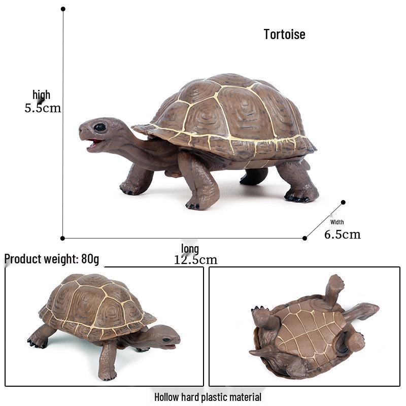 Children's Cognitive Marine Animal Models: Sea Turtle and Tortoise Toys
