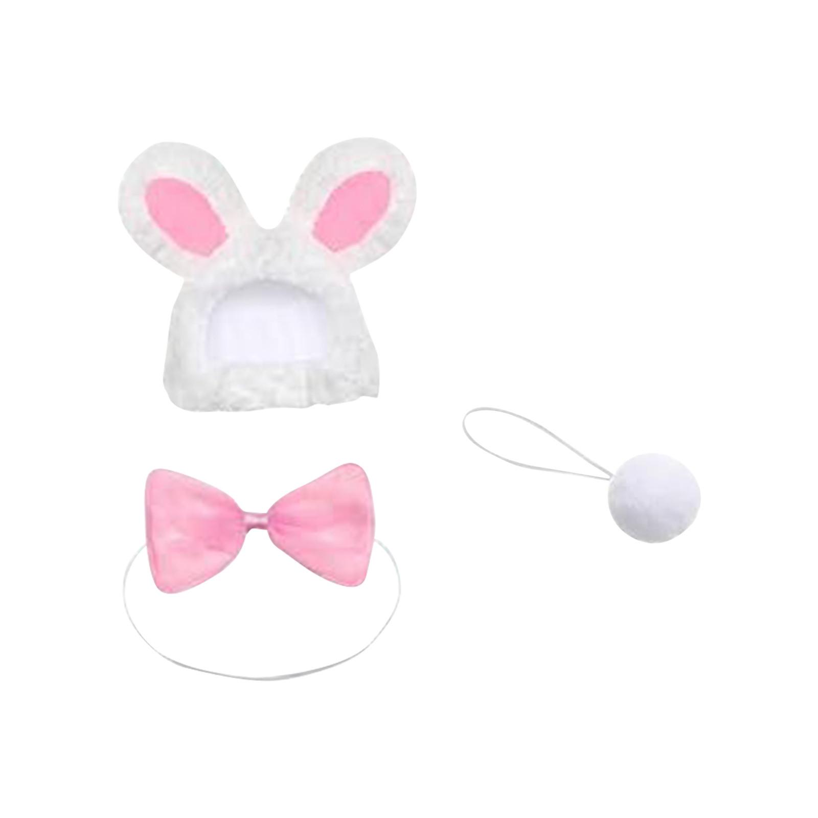 

Костюм пасхального кролика 22 дюйма, весенняя одежда для крыльца, костюм кролика для весеннего пасхального украшения двора и патио One Size