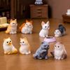 12Pcs Miniature Cat Figurine Mini Simulation Kitten Statue Resin Animal Ornament Microlandscape Dollhouse Car Dashboard Decoration