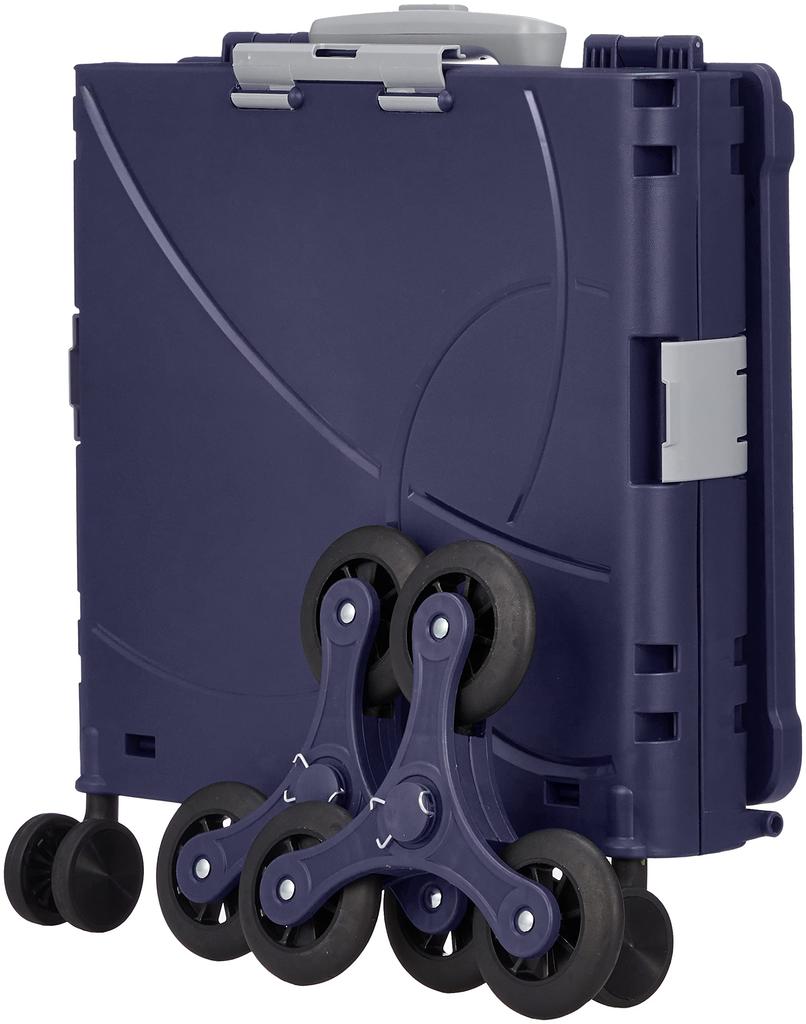 Geantă de transport compactă Ranger 36L