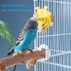 Interactive Parrot Toy Bird Cage Toy for Parrots Rotating Treat Dispenser,  for Mental Stimulation and Entertainment