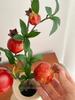 Pomegranate Fruit and Greenery Decorative Vase with Faux Flowers and Branches