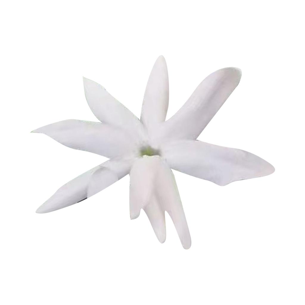 Jasmine Potted Plant, 100 Fragrant Climbing Jasmine Flowers, Beautiful Climbing Blossoms, Suitable For Home Gardens And Outdoor Planting.