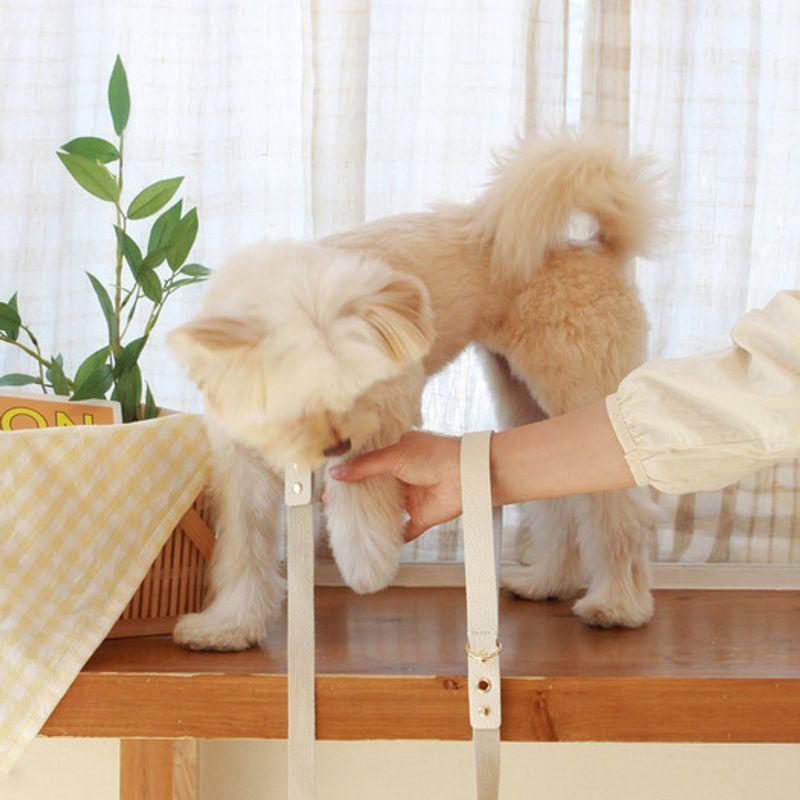 MAISON DE MIU Running Mate Leather&Webbing Lead_White/Ivory