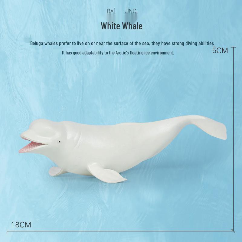 Children s Marine Animal Model Set - Shark, Dolphin, Whale Sandbox Toys & Cognitive Teaching Aids