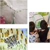 Grasshopper Breeding Butterfly Insect Observation Cage Insect Supplies Insect Cage Habitat Cage