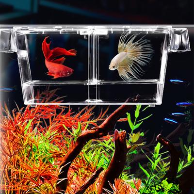 Aquarium Hatching Incubators Large Space Double Layer Transparent Plastic Fish Tank Breeding Isolation