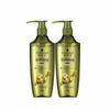 Ginger Essence Shampoo