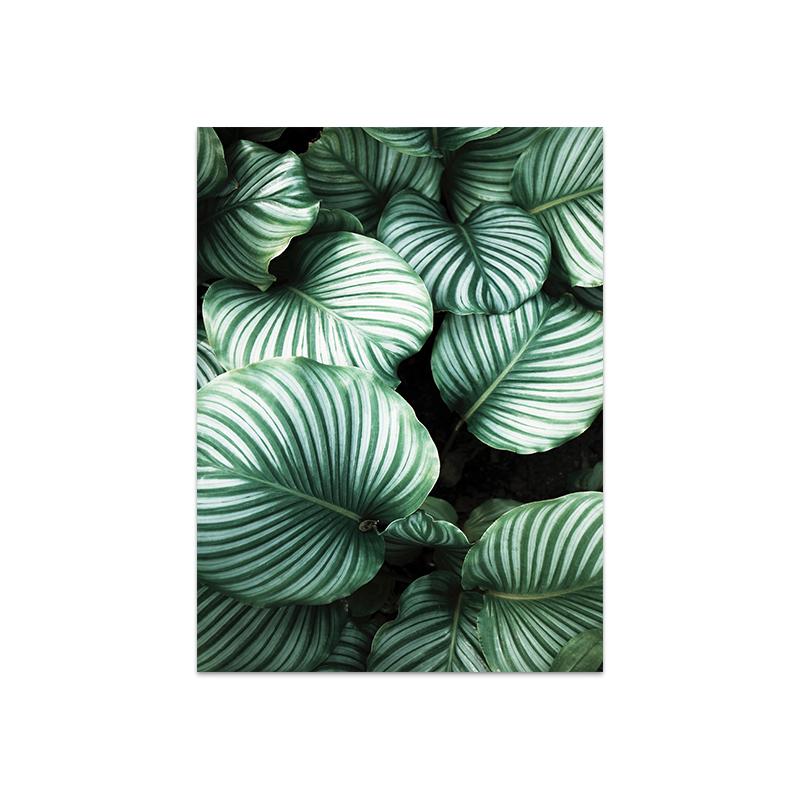 

Белый тюльпан, зеленая орхидея, алоэ, монстера, растение, холст, живопись, плакаты на скандинавскую тему и принты, настенные панно для декора гостиной 40x50cm No Frame