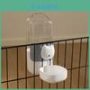 Pet Feeding Station With Pp Construction For Cats And Dogs Home Use