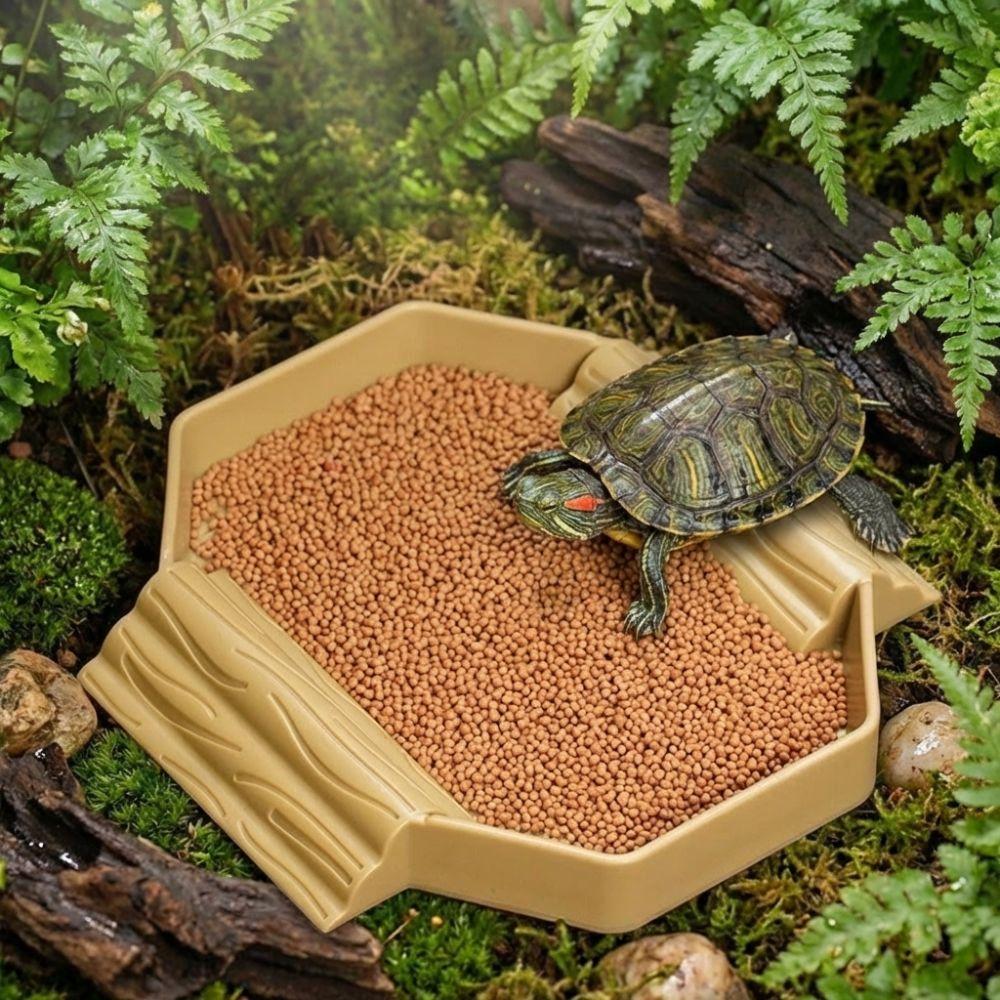 Anti-Slip Turtle Bath Basin Plastic Turtle Bath Tub Food Bowl Tortoise Water Dish Terrarium Setup