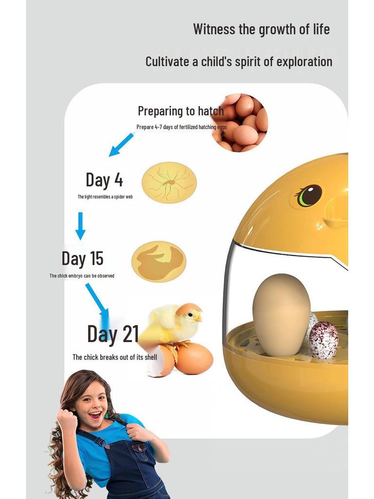 Automatic Mini Egg Incubator for Kids - Ideal for Quail, Chick, and Bird Eggs