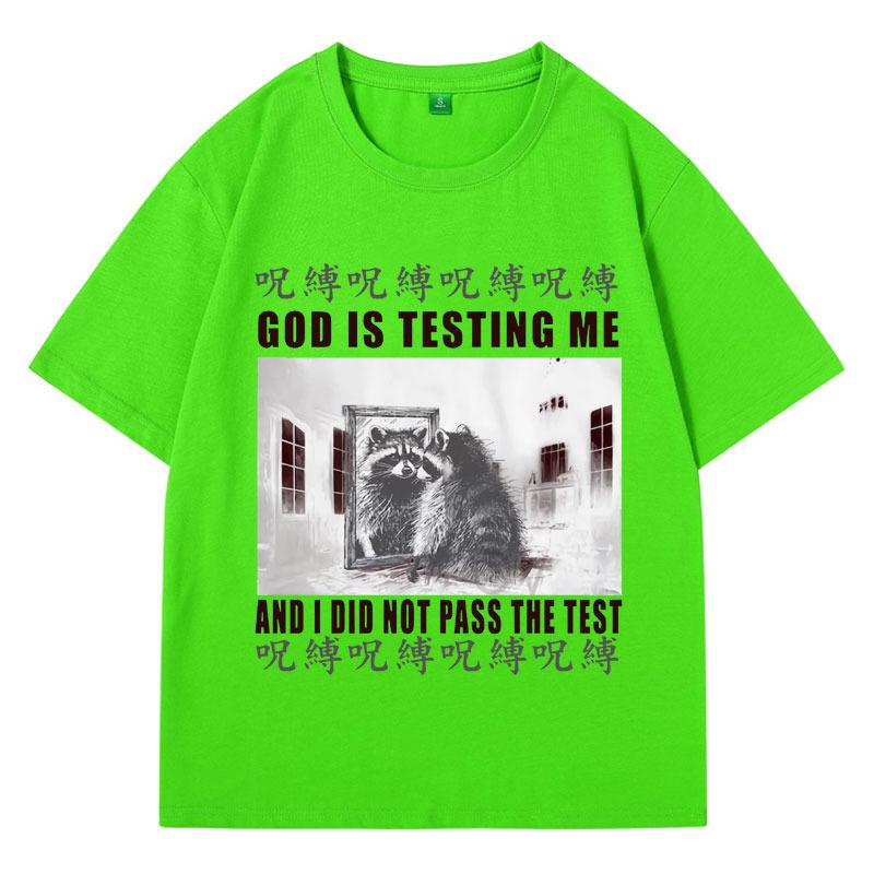 Бог Испытывает Меня, и Я Не Прошел Испытание Футболка Мужская Смешная Мем про Японского Енота Графические Футболки Мода Готика Унисекс 4XL