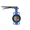 Manual Ductile Iron Double Disc Soft Seated Butterfly Valve D71X-16Q for Sewage Treatment