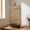 Bird Cage with Swing Domed Perch Tall Birdcage for Pet Owners,