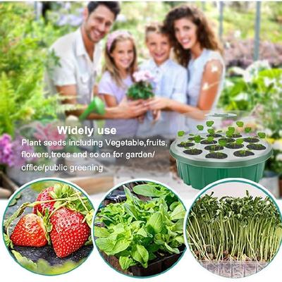 Growing Box Vegetable  Sprout Hydroponic Tray Garden Supplies