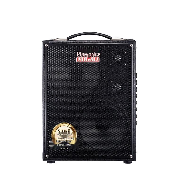 Portable PA Speaker with Wireless Microphone