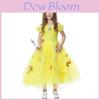 Verzaubertes Aschenputtel-Kleid für Mädchen, perfekt für Halloween-Partys und Bühnenauftritte