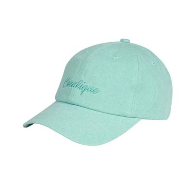 Signature PIGMENT Ball Cap Mint