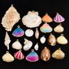2/5Pcs Assorted Natural Sea Snail Spiral Shell Pendant For DIY Necklaces Making Accessories Conch Cowrie Shell Breloques Bijoux