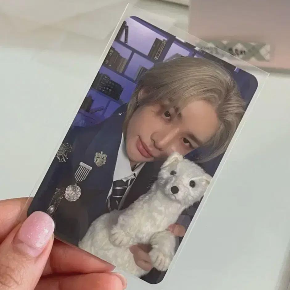 Straykids Magic School Stay Zone Maccon Photocard