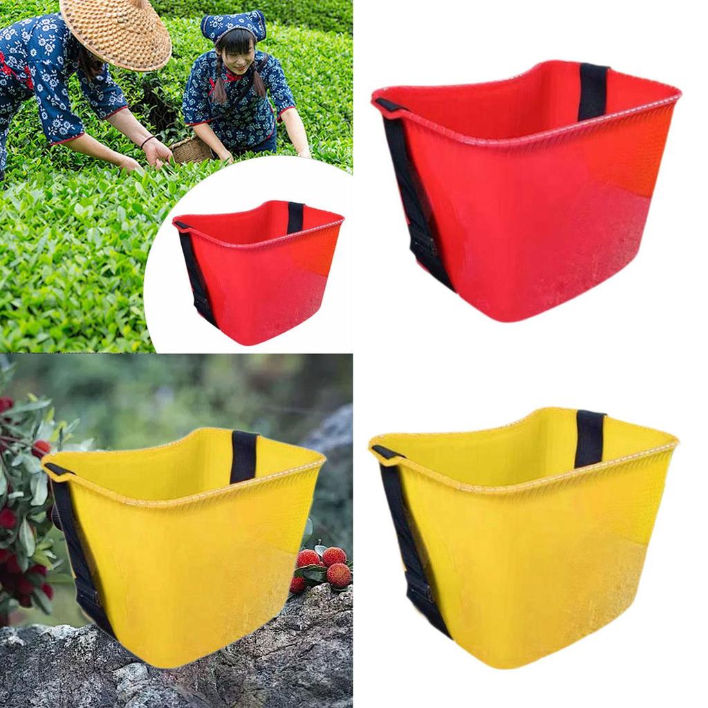 Fruit Picking Basket Portable Versatile Lightweight Picker Bucket Organizer Holder for Park Picnic Shopping Gardening Supplies