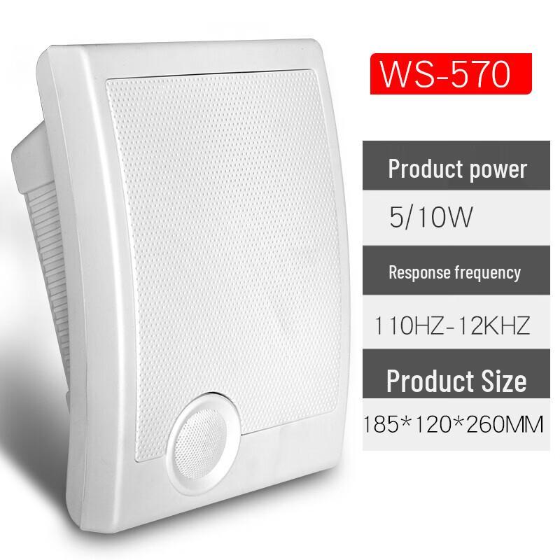 Diyou 570 Commercial Wall-mounted Speaker CN Plug (adapter Included)