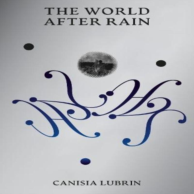 The World After Rain by Canisia Lubrin Paperback Book 9781068240942