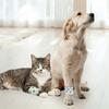 Stretchable Pet Self-adhesive Bandage Elastic Fiber Elastic Cohesive Tape  Dog Leg Protection