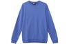 Sweatshirts Men's Blue Crew Neck Moderate Regular BV6164-474