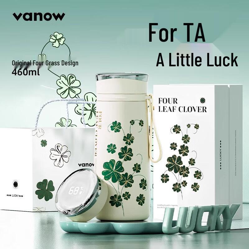 Vanow Smart Temperature Display Stainless Steel Tea Thermos