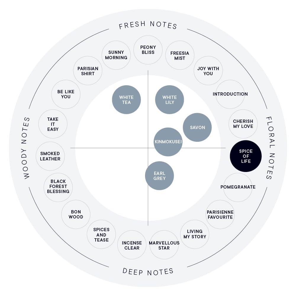 SHIRO PERFUME SPICE OF LIFE Conditioner 450g