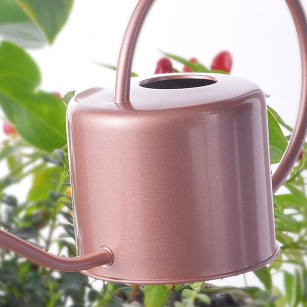 1.3L Watering Can for Indoor Plants  Flower Long Spout Watering Can Water Can with Ergonomic Handle