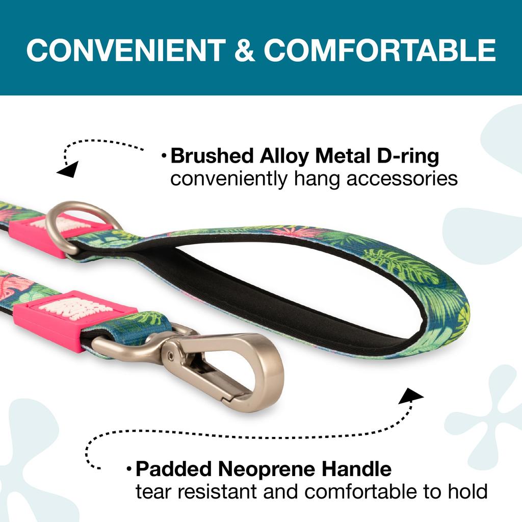 ROOKCRAN Max Molly Dog Size with Suitable for and Large Stylish 025066 & Leash, Tropical, M, Hook, Small, Medium, Dogs, Design,