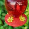 Strawberry Shaped Hummingbird Feeder Outdoor Hanging Red Birds Feeding Station for Window Garden Deck Yard Balcony Decor
