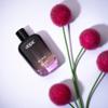 Dope Eau De Parfum For Men With Long Lasting Fragrance | Premium Luxury Perfume | 100ML