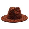 Hot-selling women's black soft woolen hats, leopard print hats, baron hats, spring women's top hats, gambler hats, large brim hats