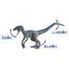 TAKARA TOMY Ania Jurassic World Final Battle Set Animal Dinosaur Toy Ages 3+