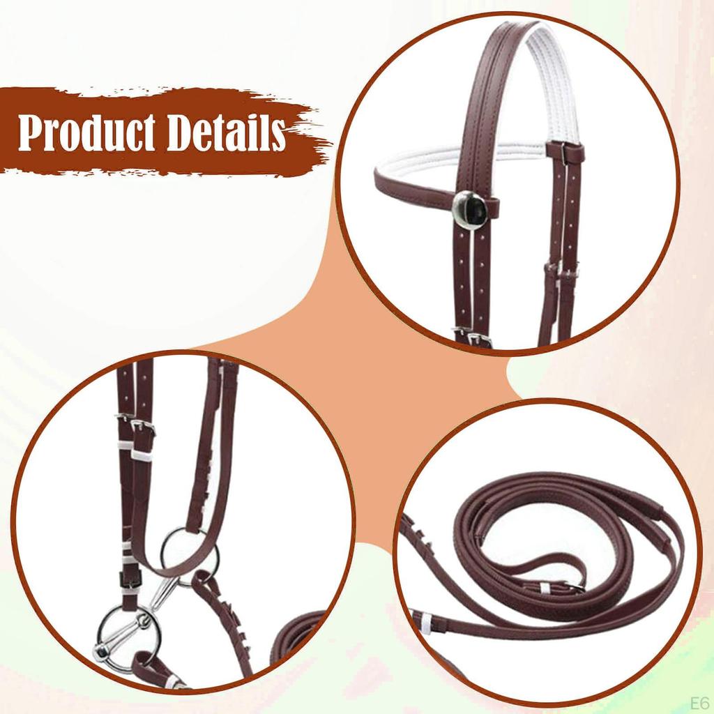 Trense mit Zügeln, Kopfstück-Zubehör, Reitseil, Edelstahlgebiss für Kursstunden und