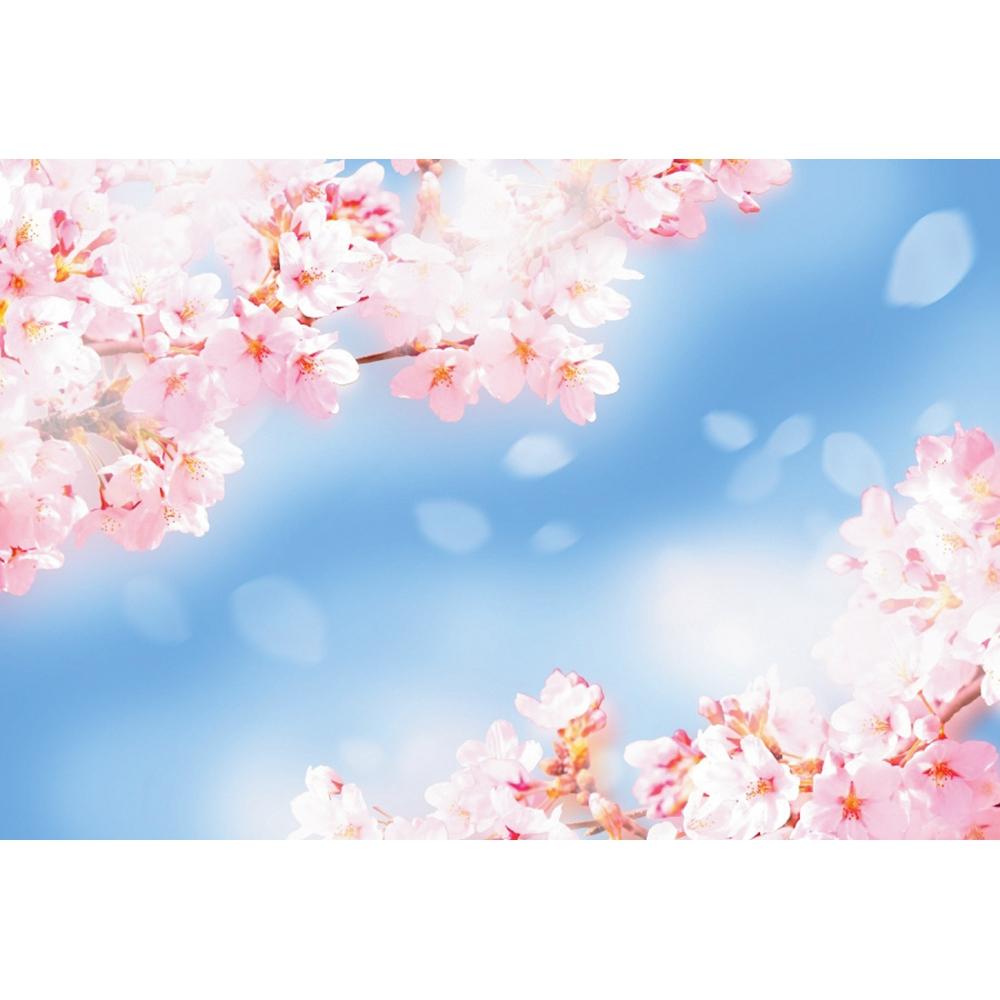Frühlingsrosa Blumen Hintergrund Glitzer Licht Bokeh Floral Kirschblüte Neugeborenes Baby Porträt Fotografie Hintergrund Fotostudio