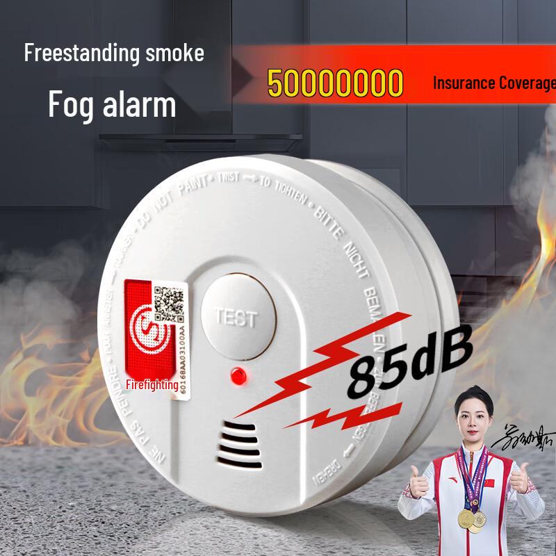 Standalone Smoke Detector