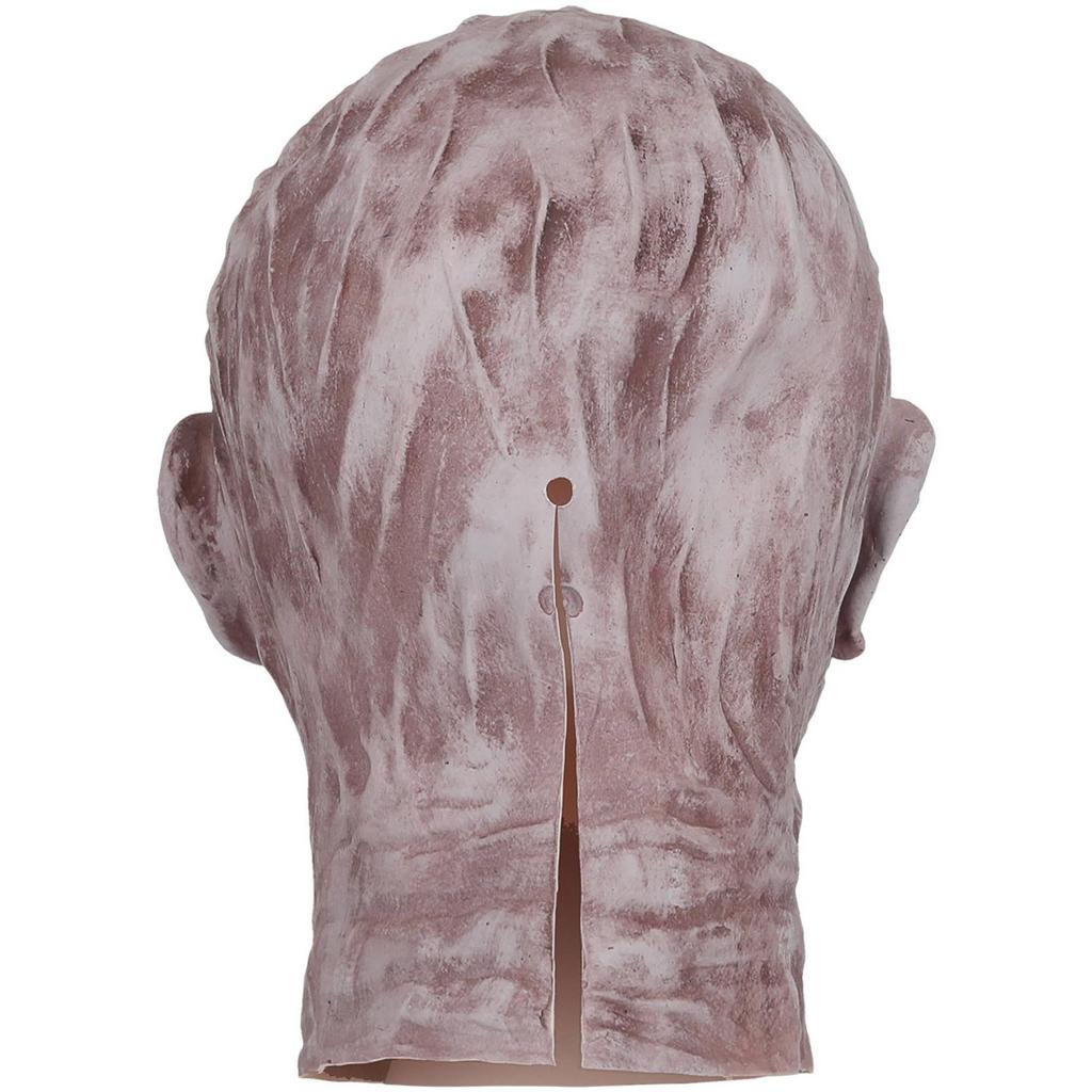 Universal Monsters Unisex Adult Mummy Latex Mask