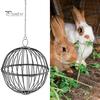 Hanging Chicken Feeder Hamster Rabbit Treat Ball Vegetable String Ball Poultry Fruit Holder with Adjustable Height Stainless Steel Chain Easy