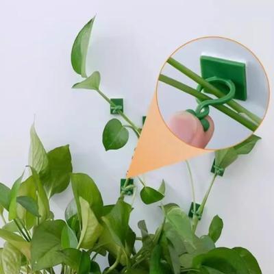 The Green Vine Fixator Wall Climber Climbing Clip Non-damaging Wall Hook, and Strong Adhesion To Climbing Vines