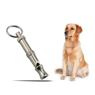 Köpek – Eğitim ve Öğretim Araçları