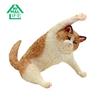 ANIMAL LIFE Yoga Cat 1BOX (8 Pieces)