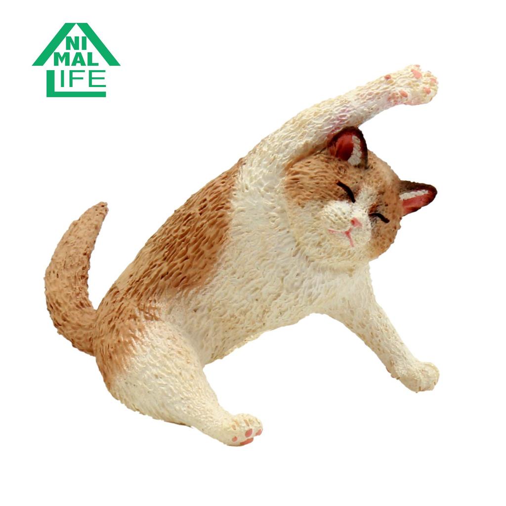 ANIMAL LIFE Yoga Cat 1BOX (8 Pieces)