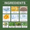 Gentle Mint & Green Tea Body Scrub with Aloe Vera  Refreshing, Moisturizing Exfoliant for All Skin Types, Easy To Use for Clean, Soft, and Revitalized
